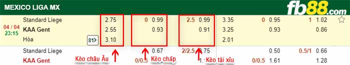 fb88-kèo chấp Standard Liege vs Gent