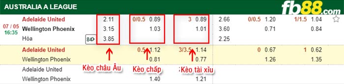 fb88-bảng kèo trận đấu Adelaide vs Wellington Phoenix