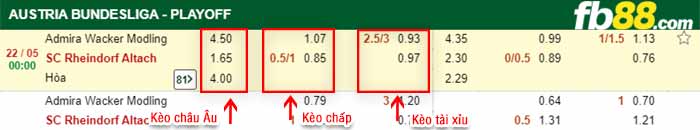fb88-bảng kèo trận đấu Admira vs Rheindorf Altach