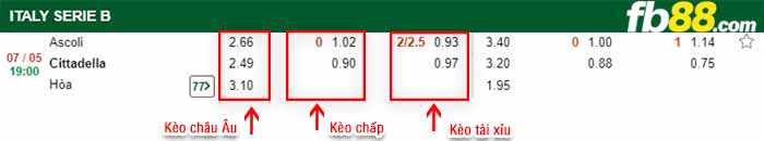 fb88-bảng kèo trận đấu Ascoli vs Cittadella
