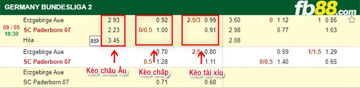 fb88-bảng kèo trận đấu Aue vs Paderborn