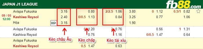 fb88-bảng kèo trận đấu Avispa Fukuoka vs Kashiwa Reysol