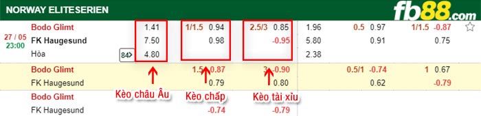 fb88-bảng kèo trận đấu Bodo Glimt vs Haugesund