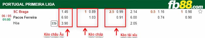 fb88-bảng kèo trận đấu Braga vs Pacos Ferreira