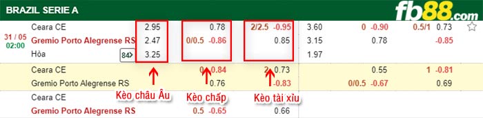 fb88-bảng kèo trận đấu Ceara vs Gremio