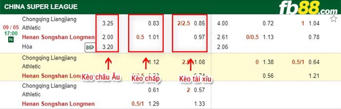 fb88-bảng kèo trận đấu Chongqing Liangjiang vs Henan Songshan