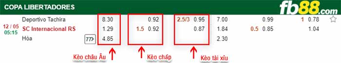 fb88-bảng kèo trận đấu Dep Tachira vs Internacional