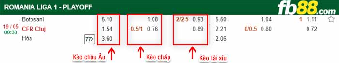 fb88-bảng kèo trận đấu FC Botosani vs CFR Cluj