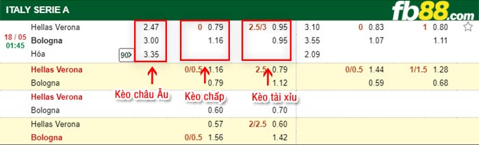 fb88-bảng kèo trận đấu Hellas Verona vs Bologna