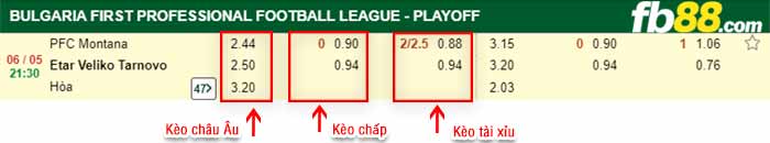 fb88-bảng kèo trận đấu Montana vs Etar Veliko Tarnovo