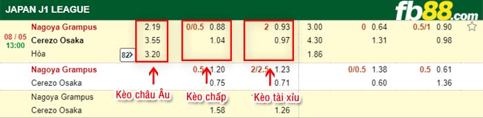 fb88-bảng kèo trận đấu Nagoya Grampus vs Cerezo Osaka
