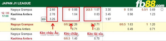 fb88-bảng kèo trận đấu Nagoya Grampus vs Kashima Antlers