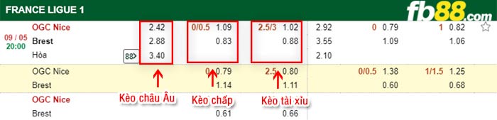 fb88-bảng kèo trận đấu Nice vs Brestois