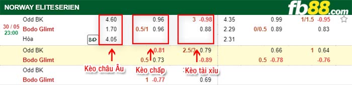 fb88-bảng kèo trận đấu Odd Grenland vs Bodo Glimt