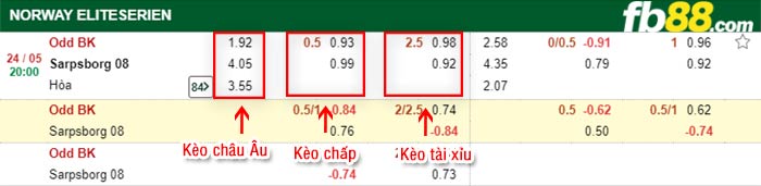 fb88-bảng kèo trận đấu Odd Grenland vs Sarpsborg