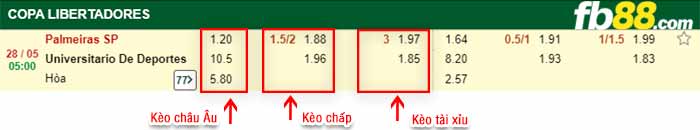 fb88-bảng kèo trận đấu Palmeiras vs Univ Deportes