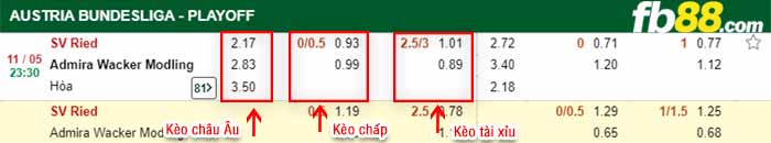 fb88-bảng kèo trận đấu Ried vs Trenkwalder Admira