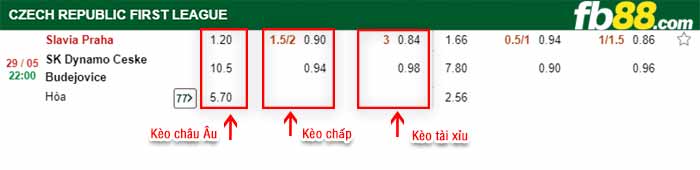 fb88-bảng kèo trận đấu Slavia Praha vs Dynamo Ceske Budejovice