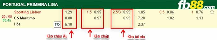 fb88-bảng kèo trận đấu Sporting CP vs Maritimo