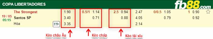 fb88-bảng kèo trận đấu The Strongest vs Santos