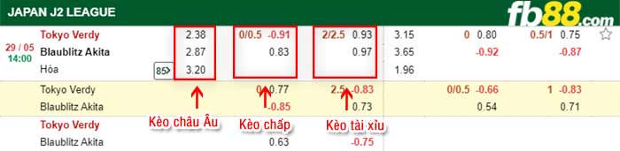 fb88-bảng kèo trận đấu Tokyo Verdy vs Blaublitz Akita