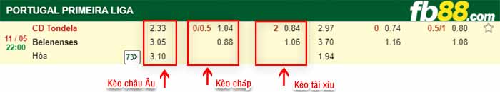 fb88-bảng kèo trận đấu Tondela vs Belenenses