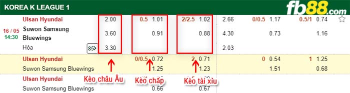 fb88-bảng kèo trận đấu Ulsan vs Suwon Bluewings