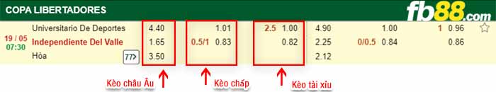 fb88-bảng kèo trận đấu Univ Deportes vs Ind Del Valle