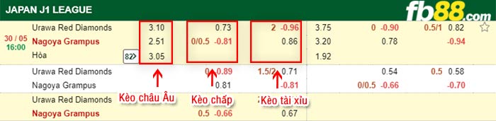 fb88-bảng kèo trận đấu Urawa Reds vs Nagoya Grampus