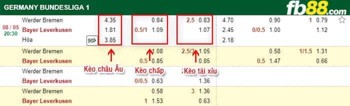 fb88-bảng kèo trận đấu Werder Bremen vs Leverkusen