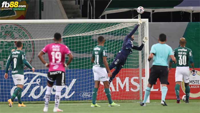 fb88-bảng kèo trận đấu Defensa vs Palmeiras
