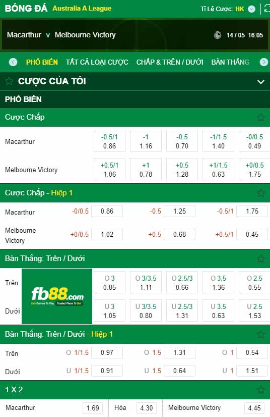 fb88-chi tiết kèo trận đấu Macarthur FC vs Melbourne Victory