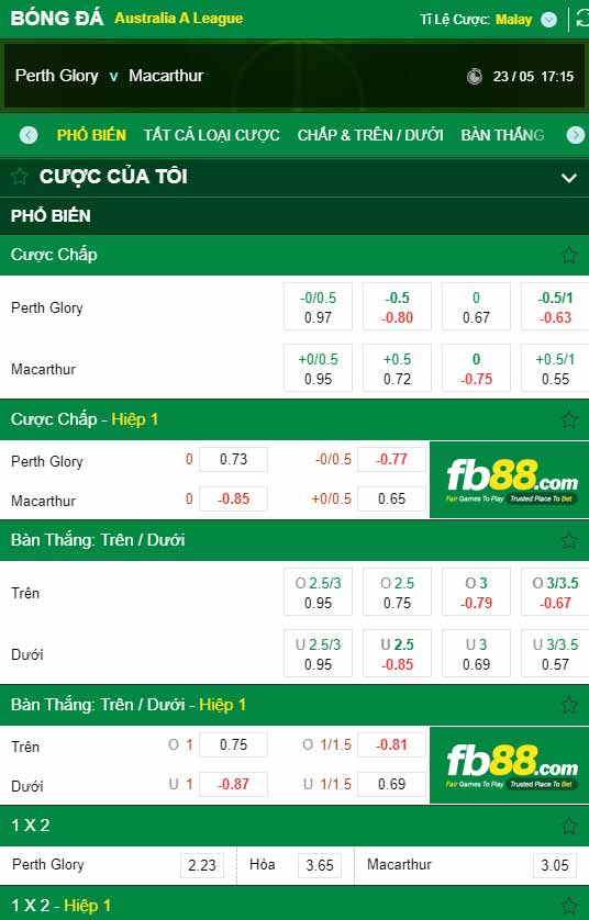 fb88-chi tiết kèo trận đấu Perth Glory vs Macarthur