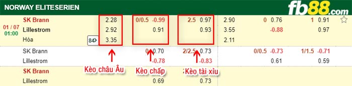 fb88-bảng kèo trận đấu Brann vs Lillestrom