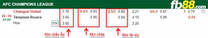 fb88-bảng kèo trận đấu Chiangrai vs Tampines