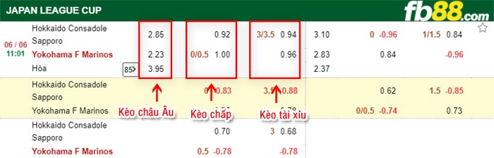 fb88-bảng kèo trận đấu Consadole Sapporo vs Yokohama F Marinos