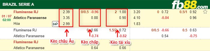 fb88-bảng kèo trận đấu Fluminense vs Atletico Paranaense