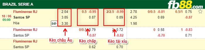 fb88-bảng kèo trận đấu Fluminense vs Santos