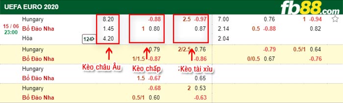 fb88-bảng kèo trận đấu Hungary vs Bo Dao Nha