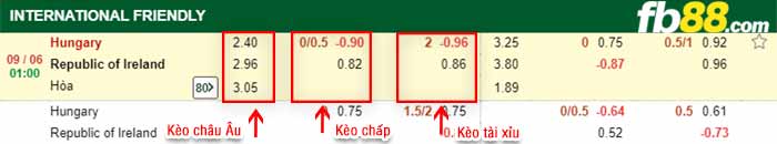fb88-bảng kèo trận đấu Hungary vs CH Ailen