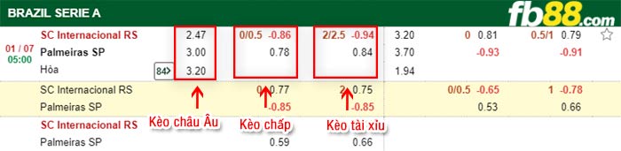 fb88-bảng kèo trận đấu Internacional vs Palmeiras