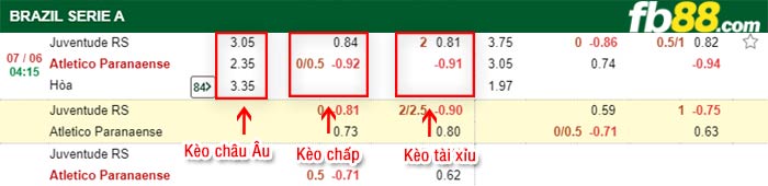 fb88-bảng kèo trận đấu Juventude vs Paranaense