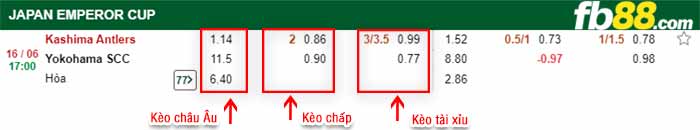 fb88-bảng kèo trận đấu Kashima Antlers vs YSCC Yokohama