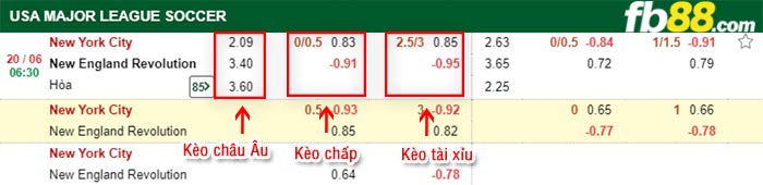 fb88-bảng kèo trận đấu New York City vs New England