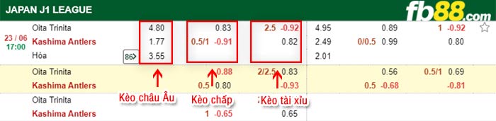 fb88-bảng kèo trận đấu Oita Trinita vs Kashima Antlers