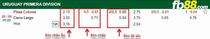 fb88-bảng kèo trận đấu Plaza Colonia vs Cerro Largo
