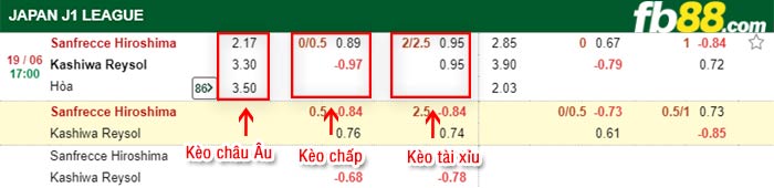 fb88-bảng kèo trận đấu Sanfrecce Hiroshima vs Kashiwa Reysol