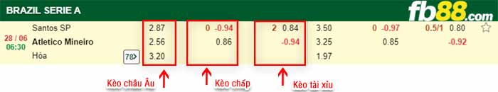 fb88-bảng kèo trận đấu Santos vs Atletico Mineiro