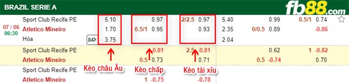 fb88-bảng kèo trận đấu Sport Recife vs Atletico Mineiro
