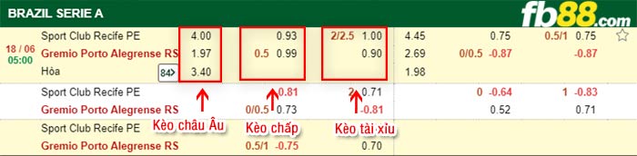 fb88-bảng kèo trận đấu Sport Recife vs Gremio